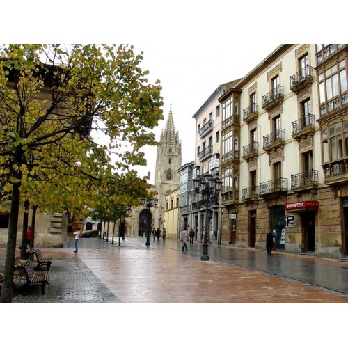 Bestard Urban Travel BG3