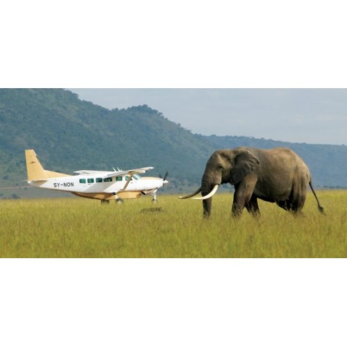 42043 Avioneta Safari