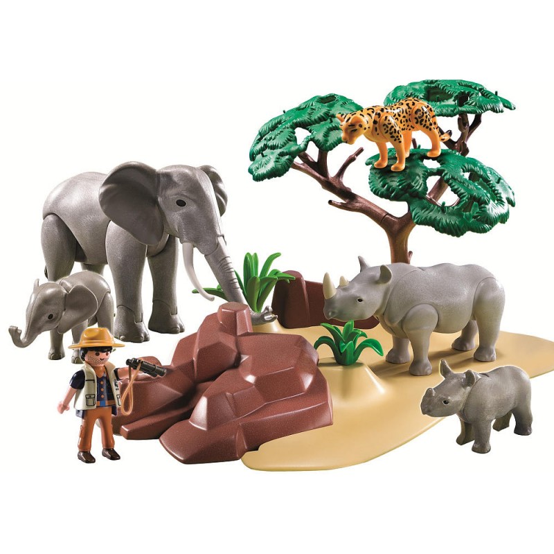 5417 Set Sabana africana