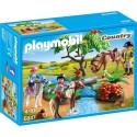 6947 Paseo con los ponis