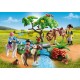 6947 Paseo con los ponis