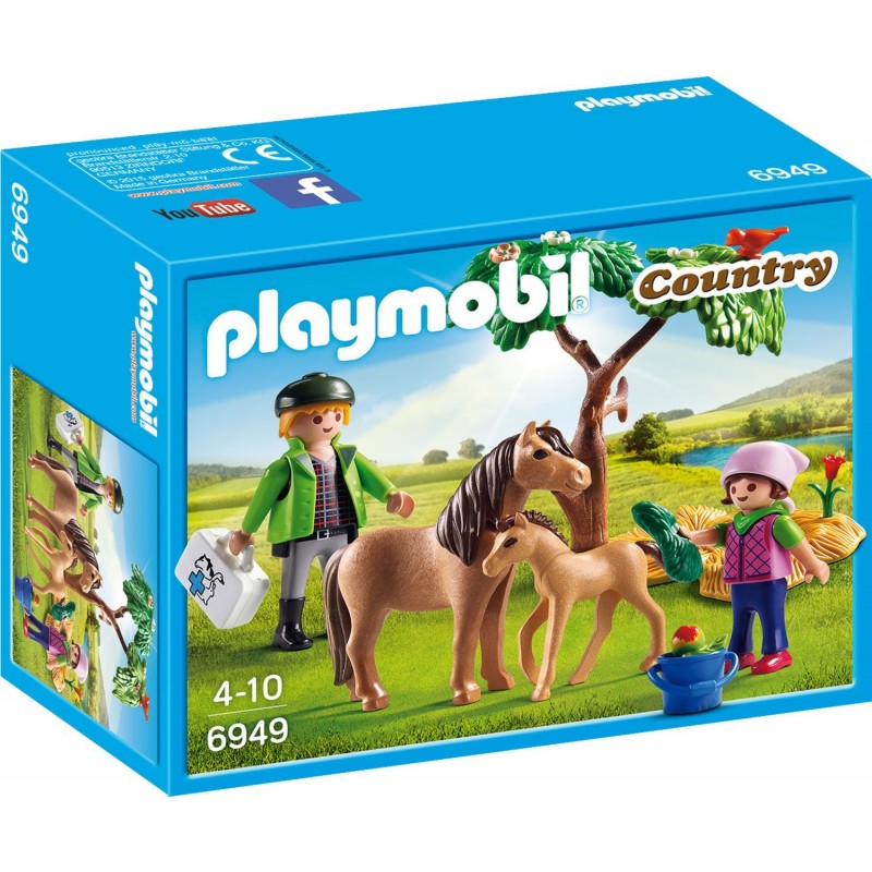 6949 Veterinario con ponis