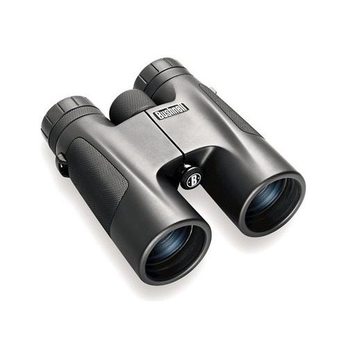 Bushnell Powerview 8x42 Roof