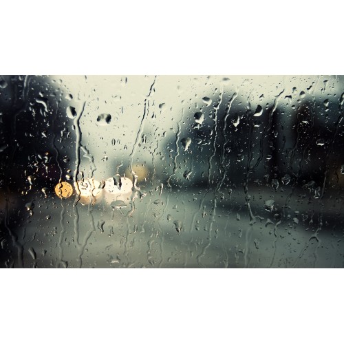 Hart Guantes de caza Hunter