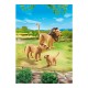 6642 Familia de leones