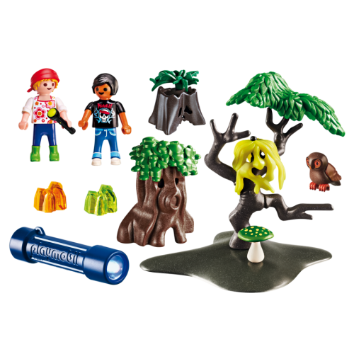 6891 Caminata nocturna