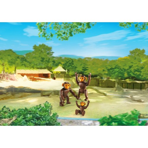 6650 Familia de chimpancés