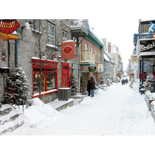 The North Face Triclimate Jakect 3 en 1