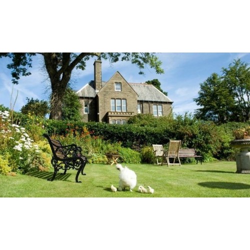 Barbour Jersey de lana Cashemere Roll neck