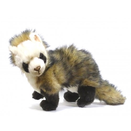 Hansa Hurón de antifaz