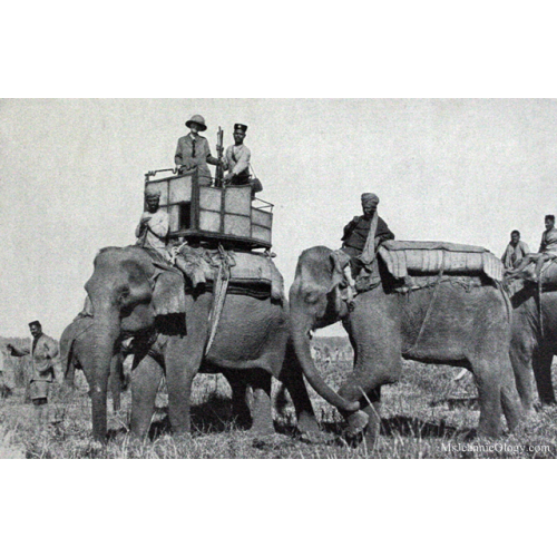 Pedersoli S.358-50 Howdah Hunter .50