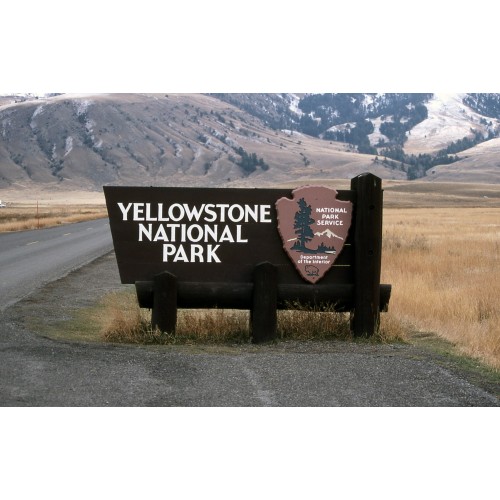 Polar Mountain Acacia T-XS