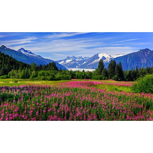 Grifone Cadi Esp Pant T L