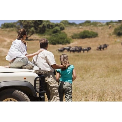 Columbia Safari Woman 8131-022