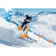 9288 Esquiador de Descenso