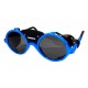 Carrera Alpine Glasses Kids