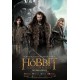 Thorin Escudo de Roble 90mm