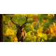 Balas Weatherby .240 Weatherby Magnum Spire Point 100 gr