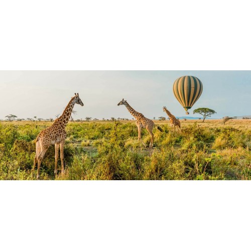 Sombrero Safari Master Made in Germany talla L