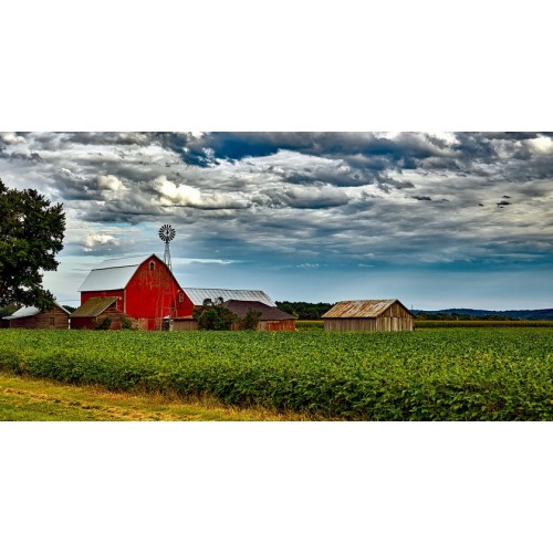 Sombrero de pana Corzo Classic Green